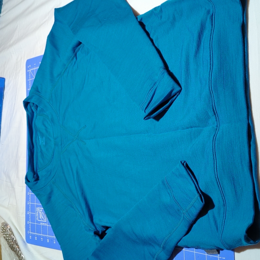 Icebreaker merino sweatshirt